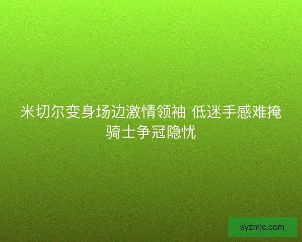 米切尔变身场边激情领袖 低迷手感难掩骑士争冠隐忧