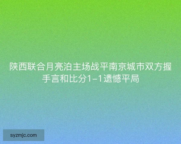 陕西联合月亮泊主场战平南京城市双方握手言和比分1-1遗憾平局