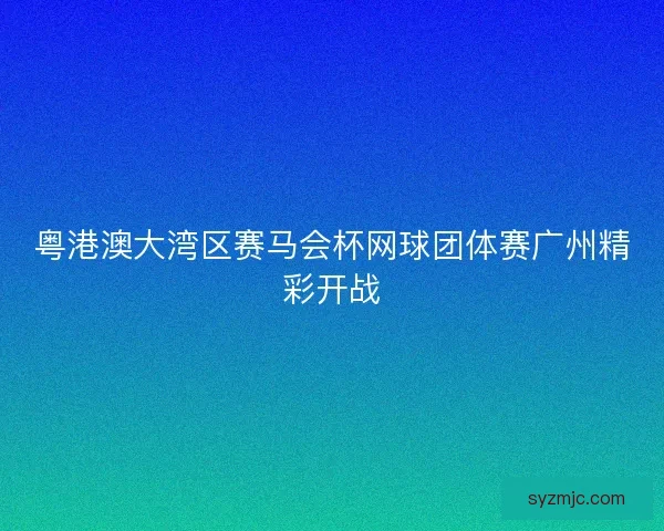 粤港澳大湾区赛马会杯网球团体赛广州精彩开战